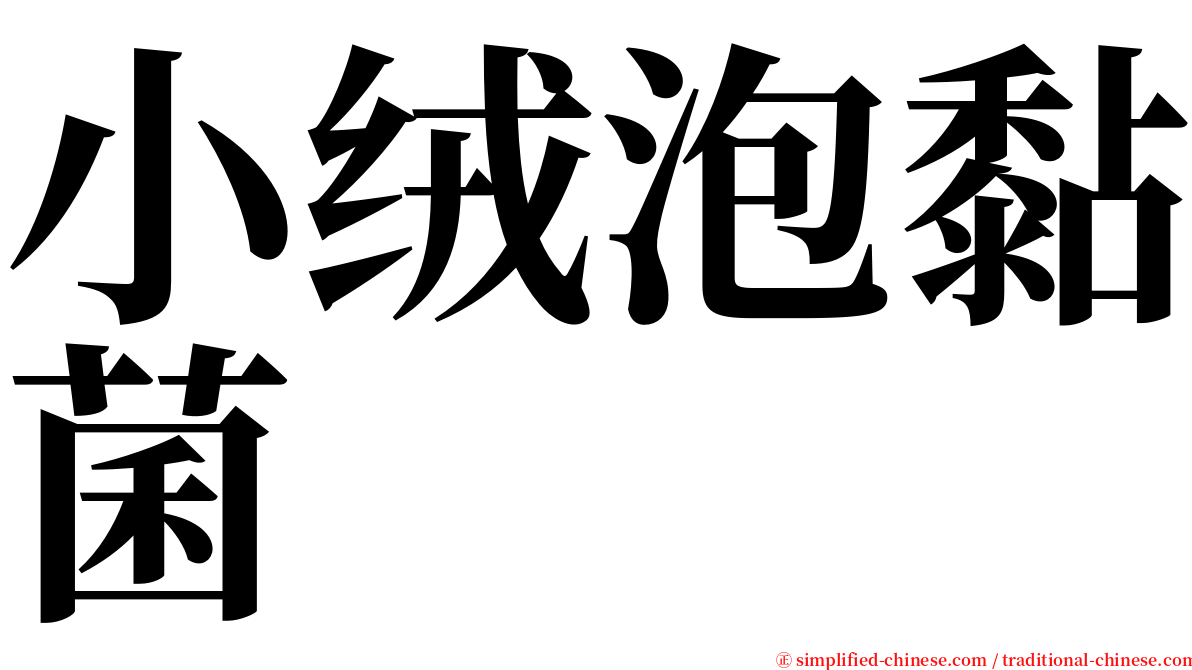 小绒泡黏菌 serif font