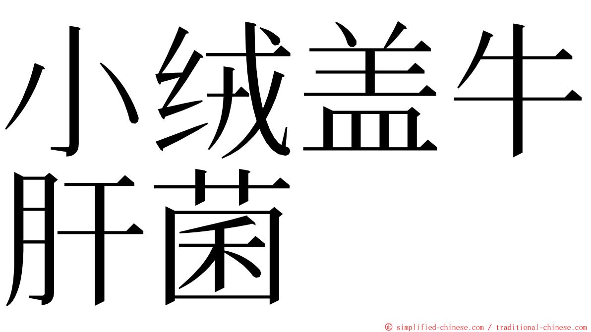 小绒盖牛肝菌 ming font