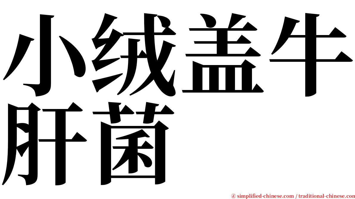 小绒盖牛肝菌 serif font