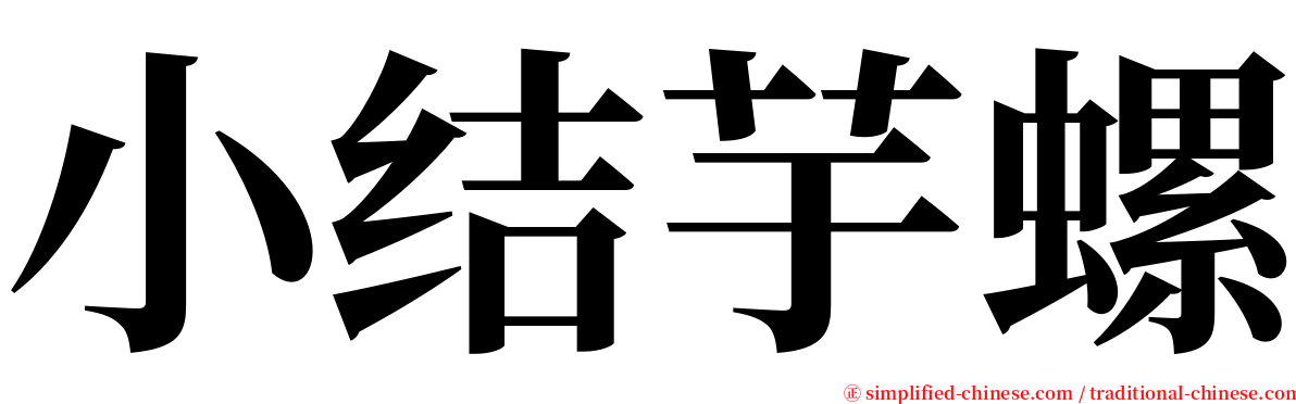 小结芋螺 serif font