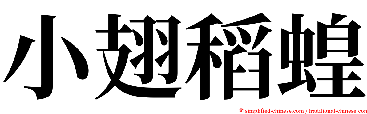 小翅稻蝗 serif font