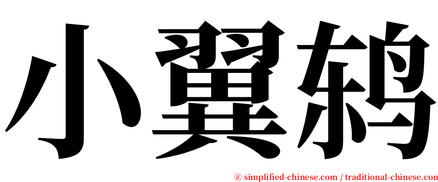 小翼鸫 serif font