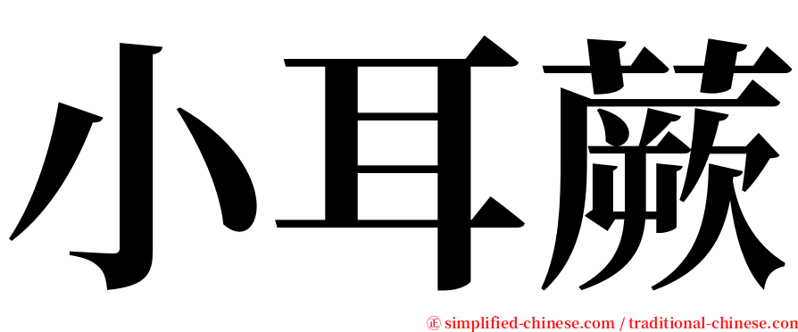 小耳蕨 serif font