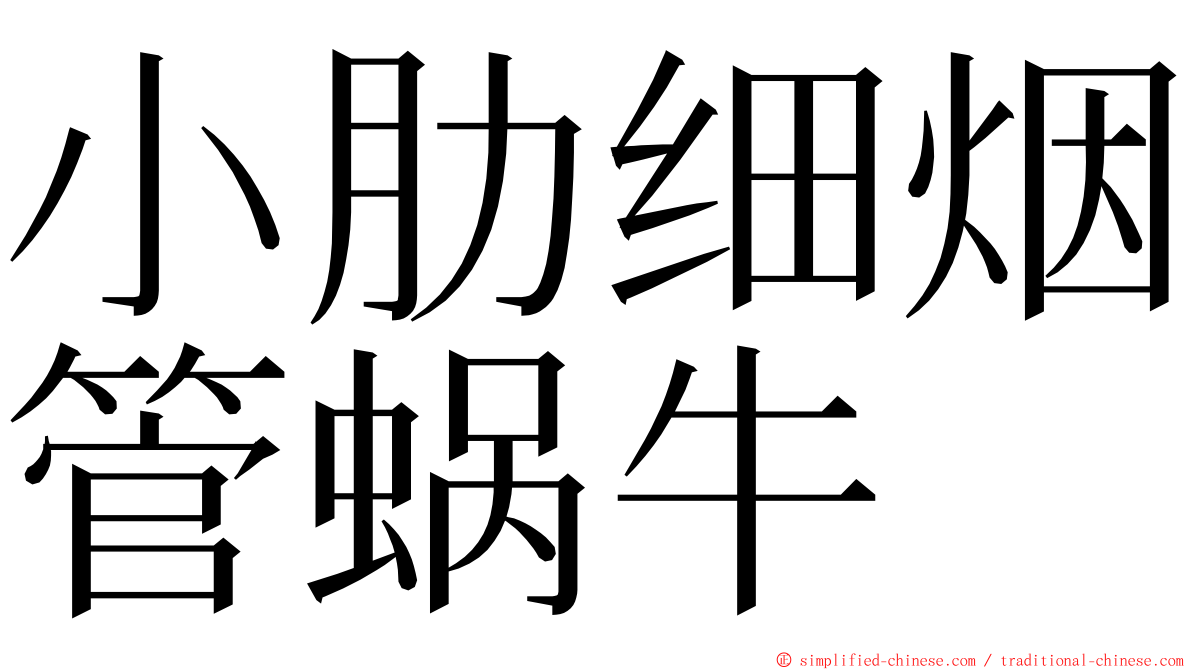 小肋细烟管蜗牛 ming font