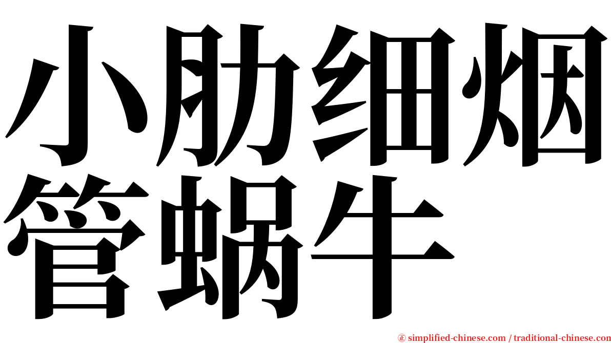 小肋细烟管蜗牛 serif font