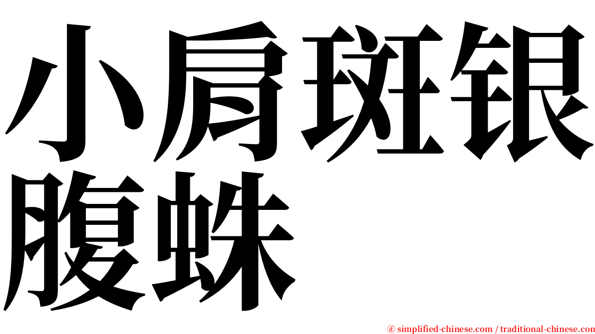 小肩斑银腹蛛 serif font