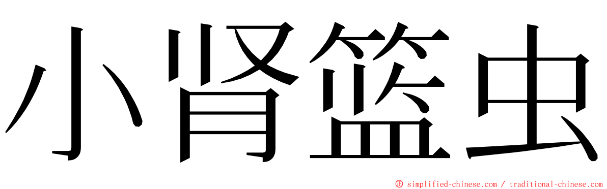 小肾篮虫 ming font