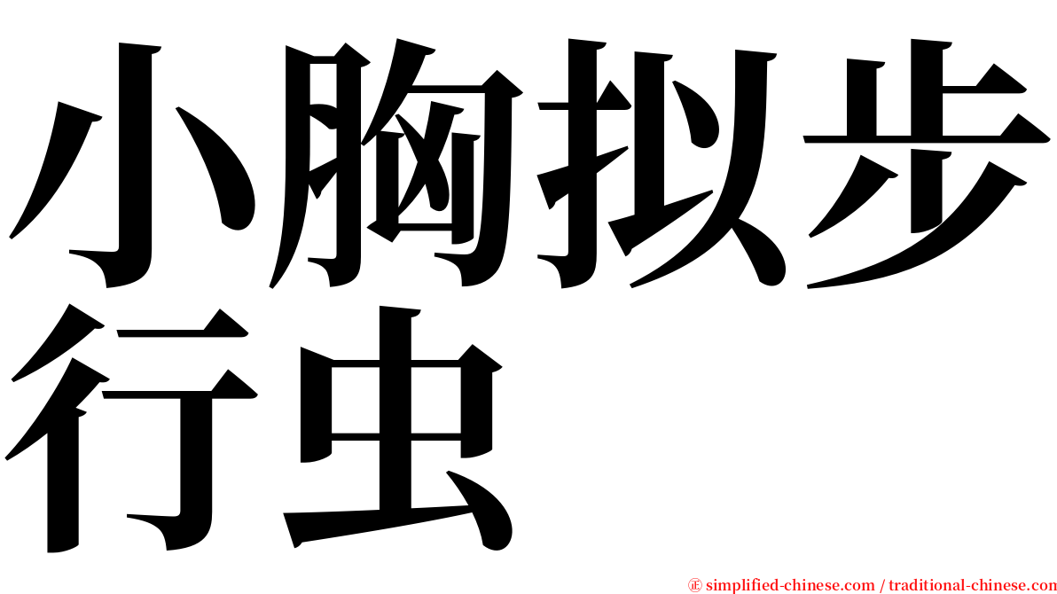 小胸拟步行虫 serif font