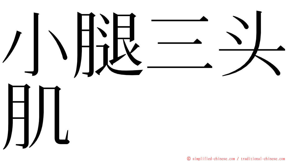 小腿三头肌 ming font