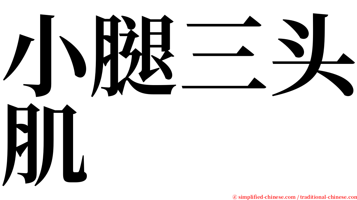 小腿三头肌 serif font