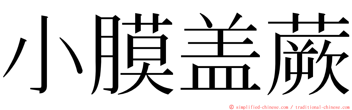 小膜盖蕨 ming font