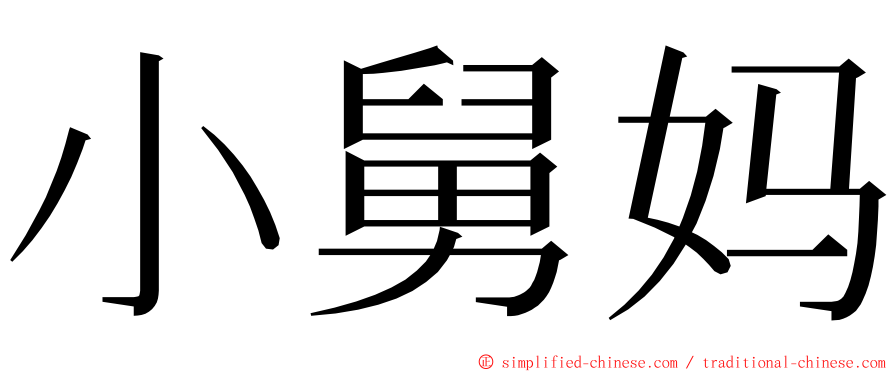 小舅妈 ming font