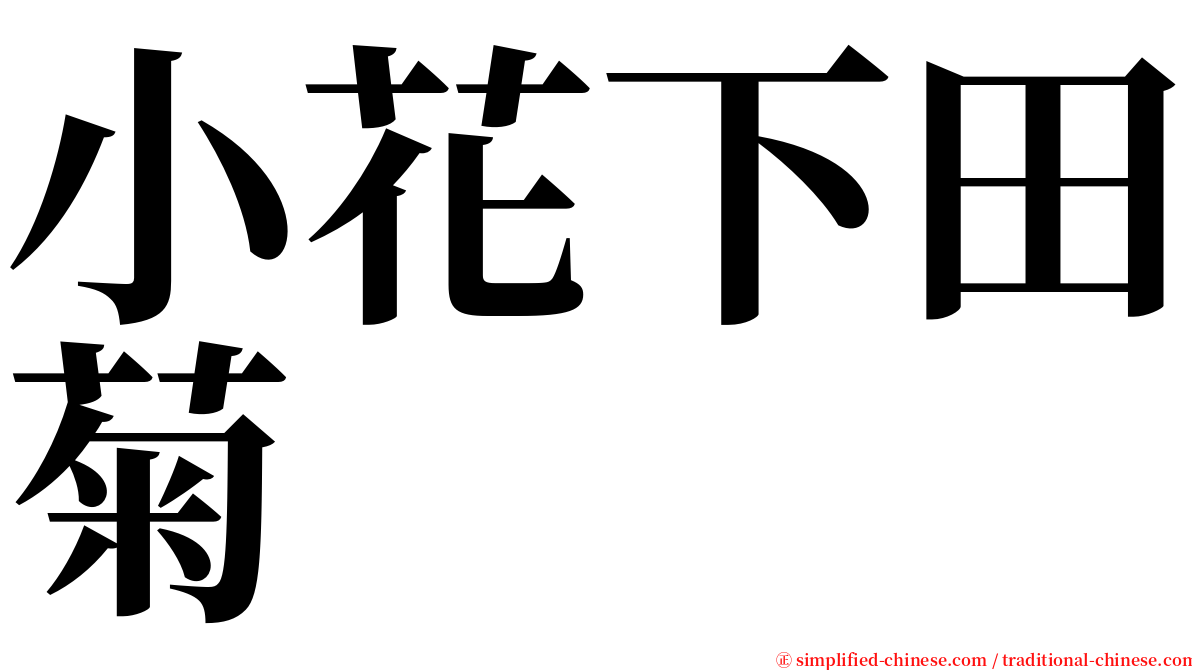 小花下田菊 serif font