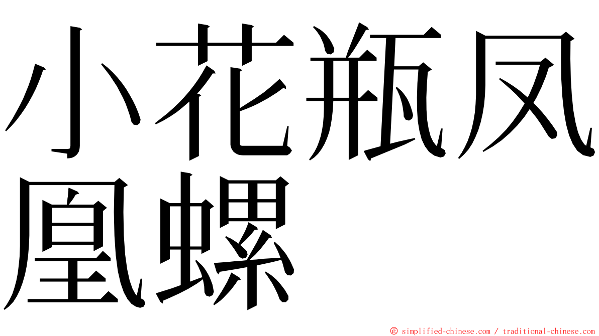 小花瓶凤凰螺 ming font