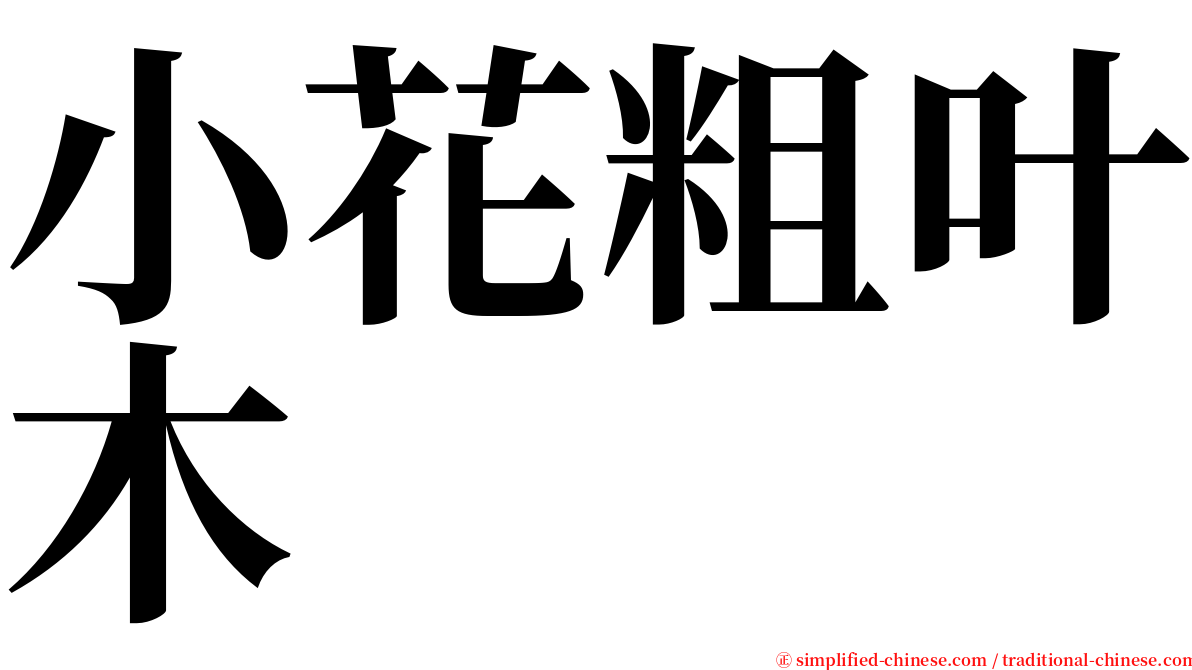 小花粗叶木 serif font