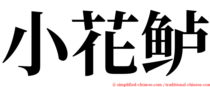 小花鲈 serif font