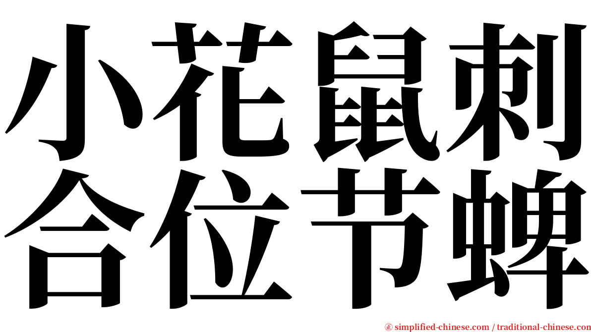 小花鼠刺合位节蜱 serif font