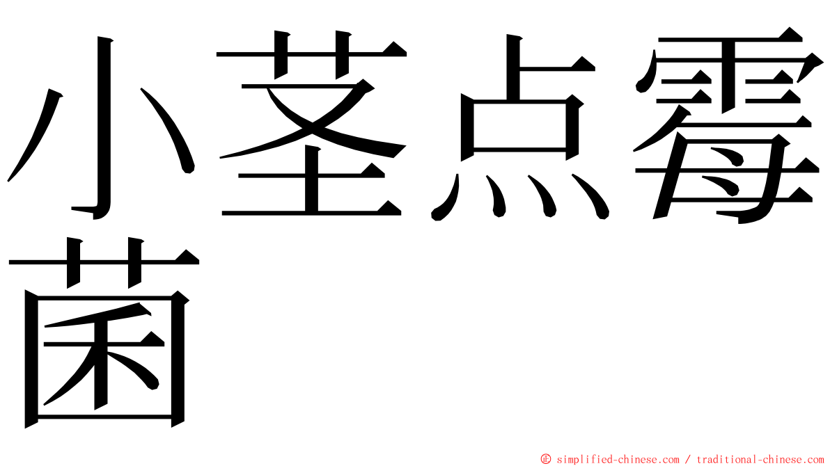 小茎点霉菌 ming font