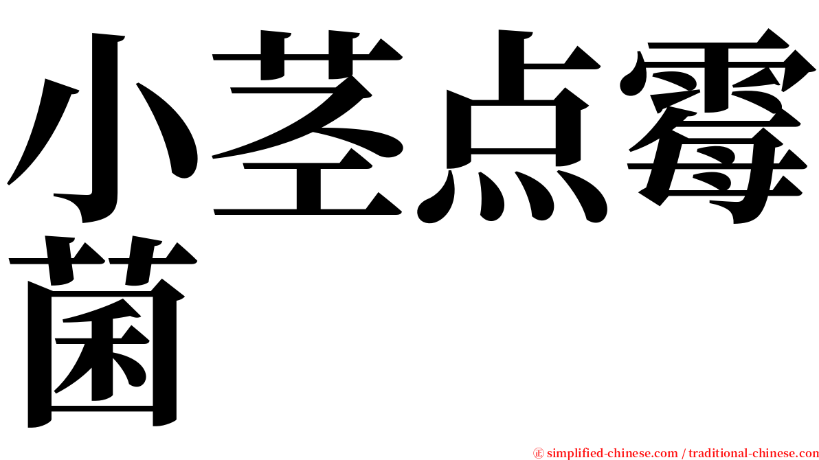 小茎点霉菌 serif font