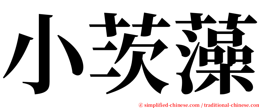 小茨藻 serif font