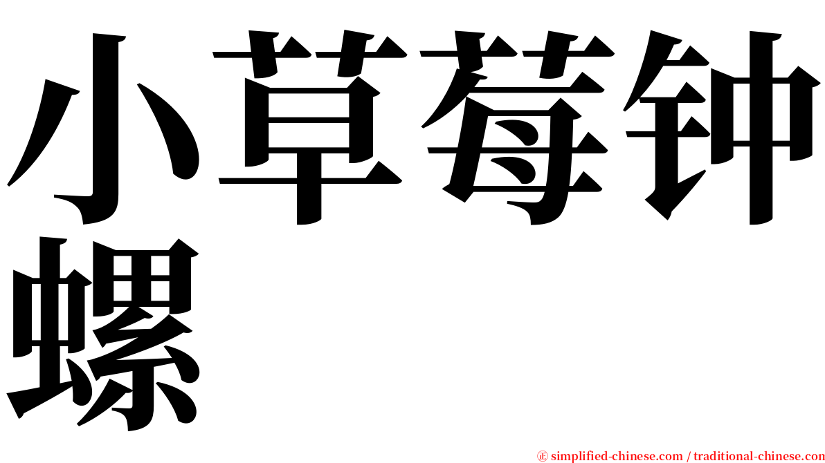 小草莓钟螺 serif font