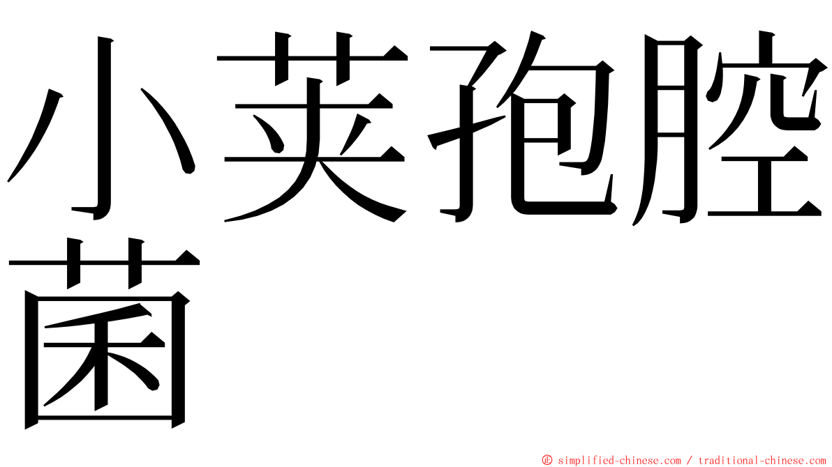 小荚孢腔菌 ming font