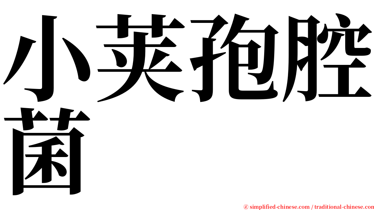 小荚孢腔菌 serif font