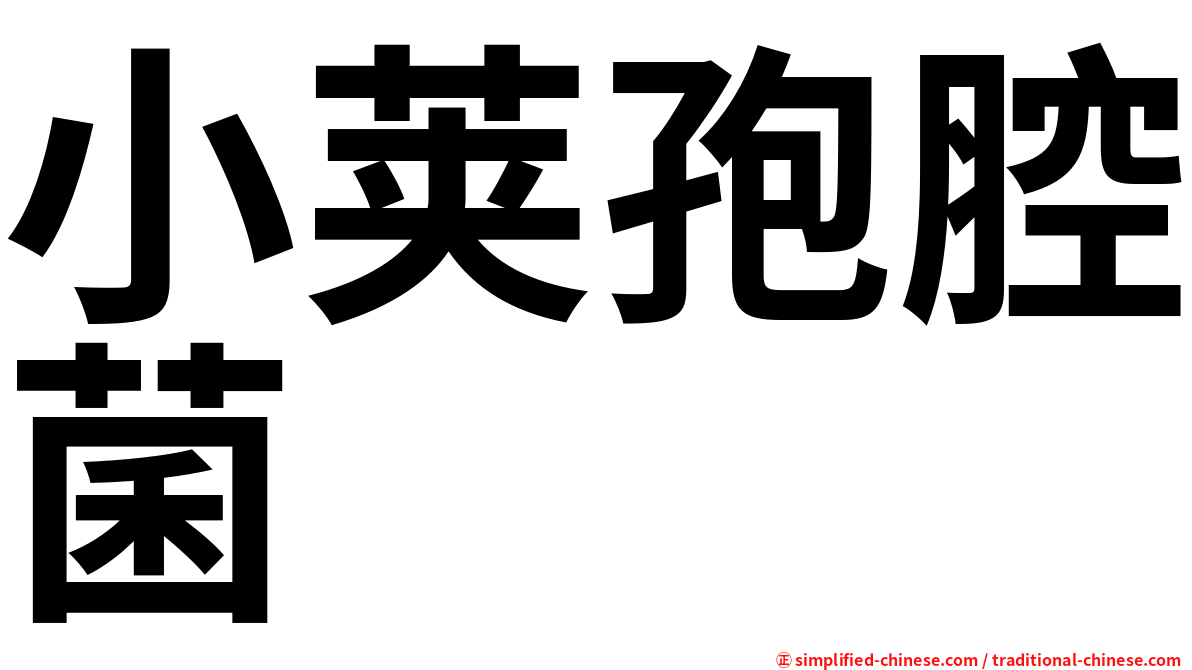 小荚孢腔菌