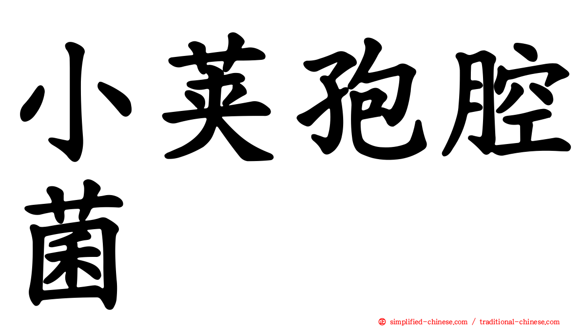 小荚孢腔菌