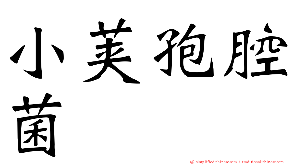 小荚孢腔菌
