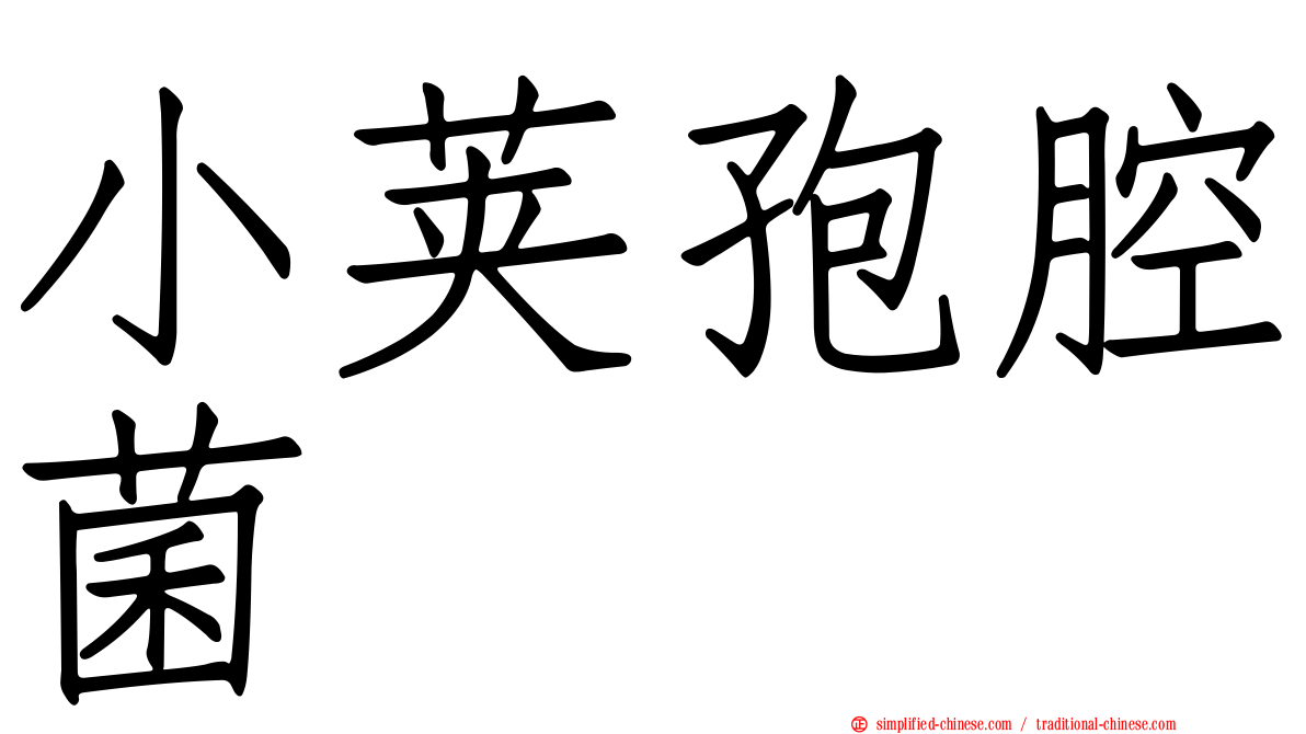 小荚孢腔菌