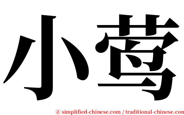 小莺 serif font