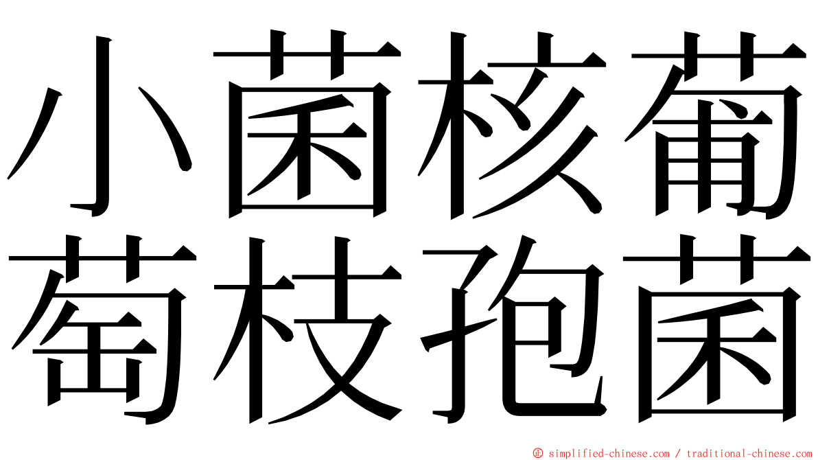 小菌核葡萄枝孢菌 ming font