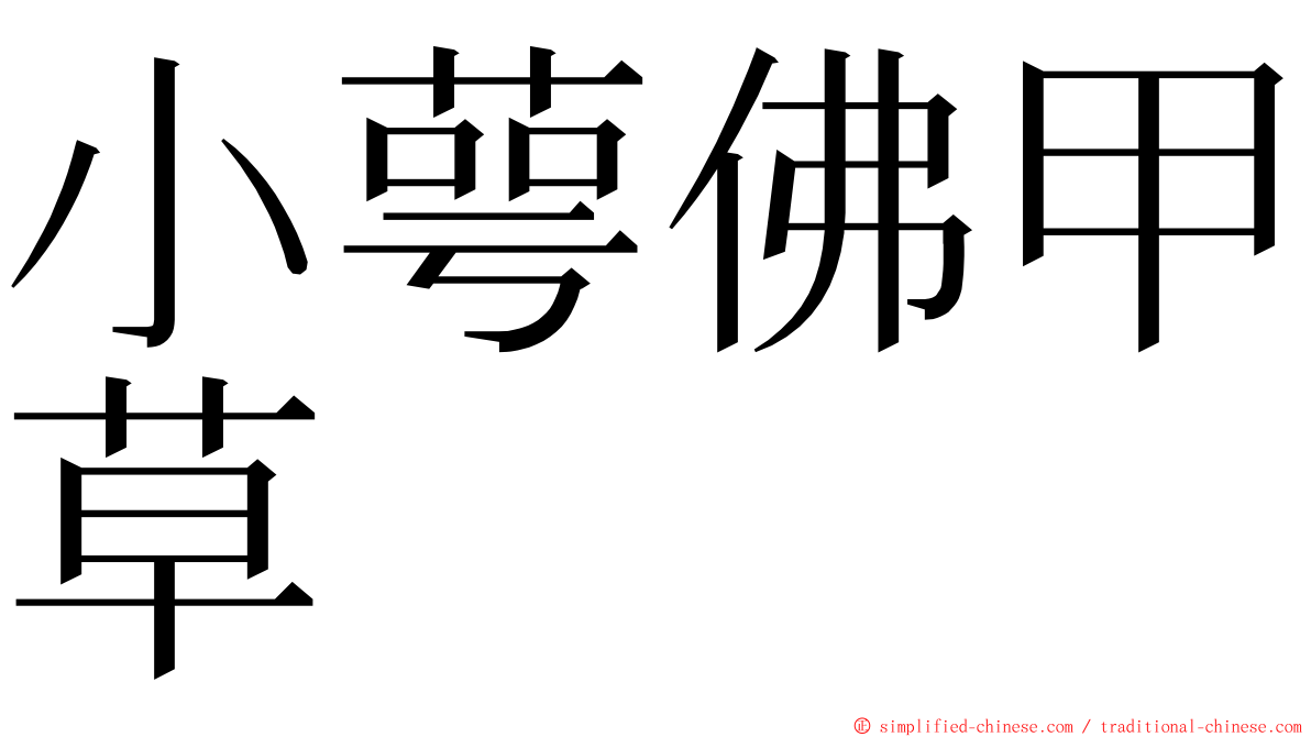 小萼佛甲草 ming font