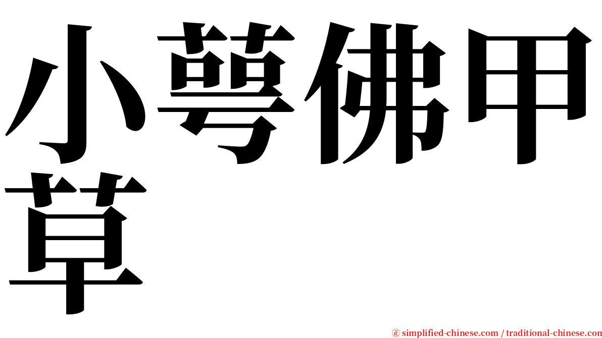 小萼佛甲草 serif font