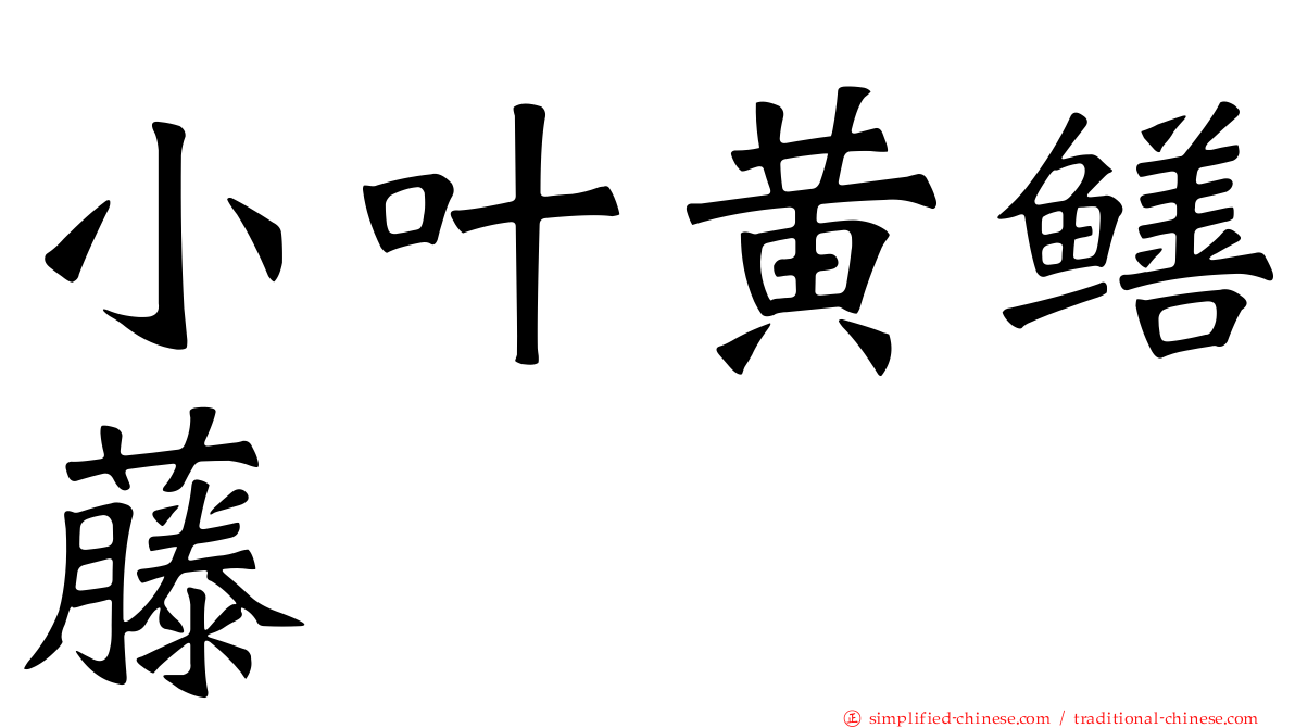 小叶黄鳝藤