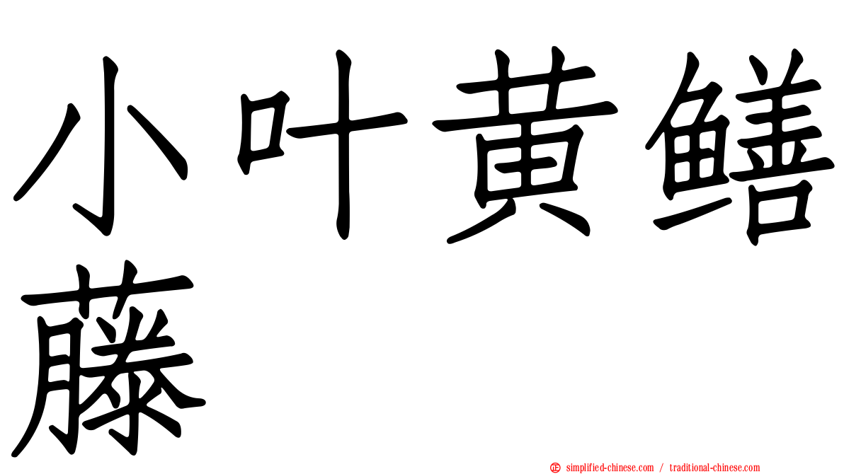 小叶黄鳝藤