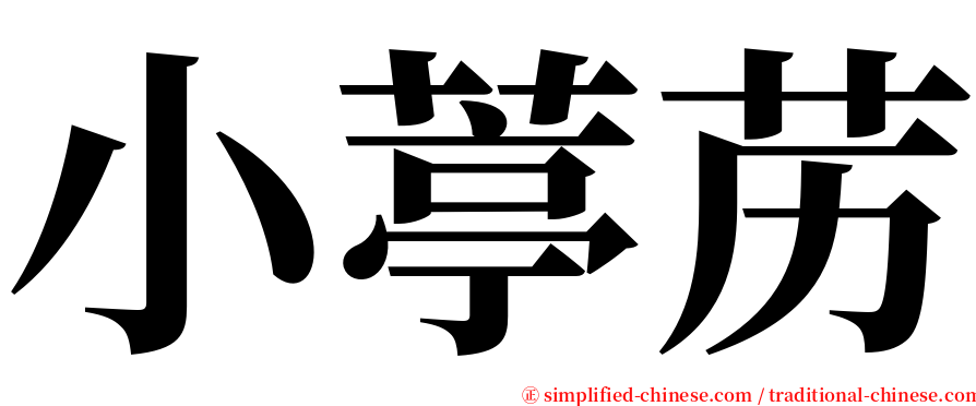 小葶苈 serif font