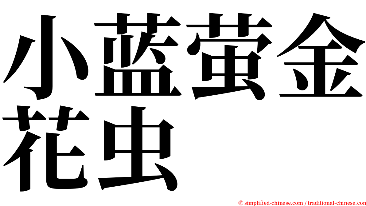 小蓝萤金花虫 serif font