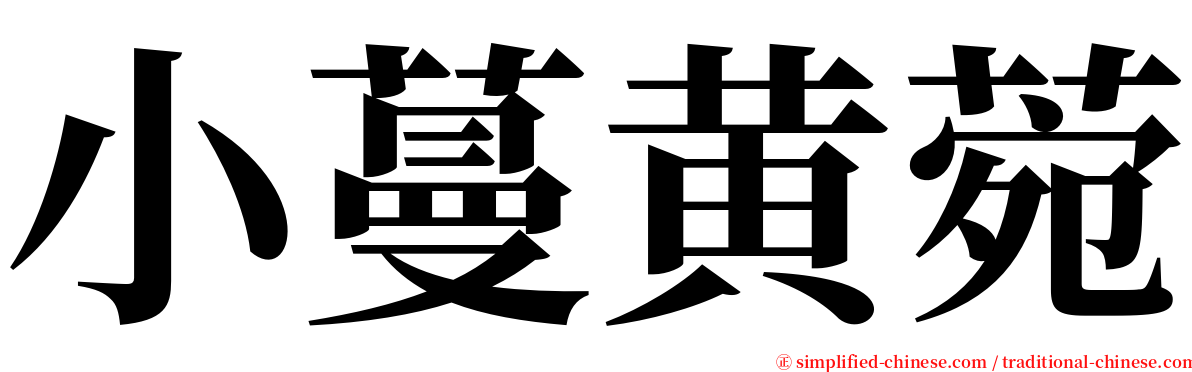 小蔓黄菀 serif font