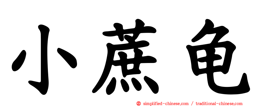 小蔗龟