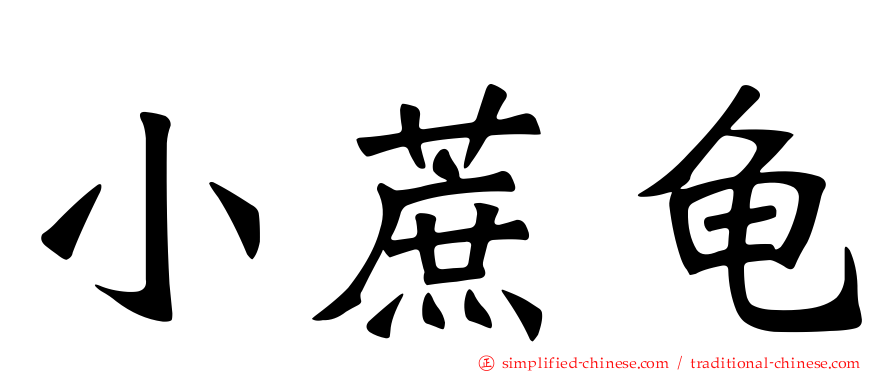 小蔗龟