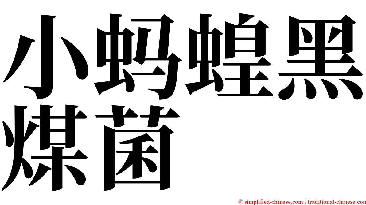 小蚂蝗黑煤菌 serif font