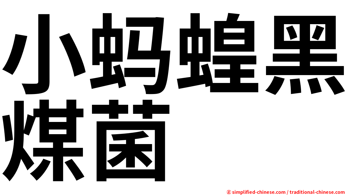 小蚂蝗黑煤菌