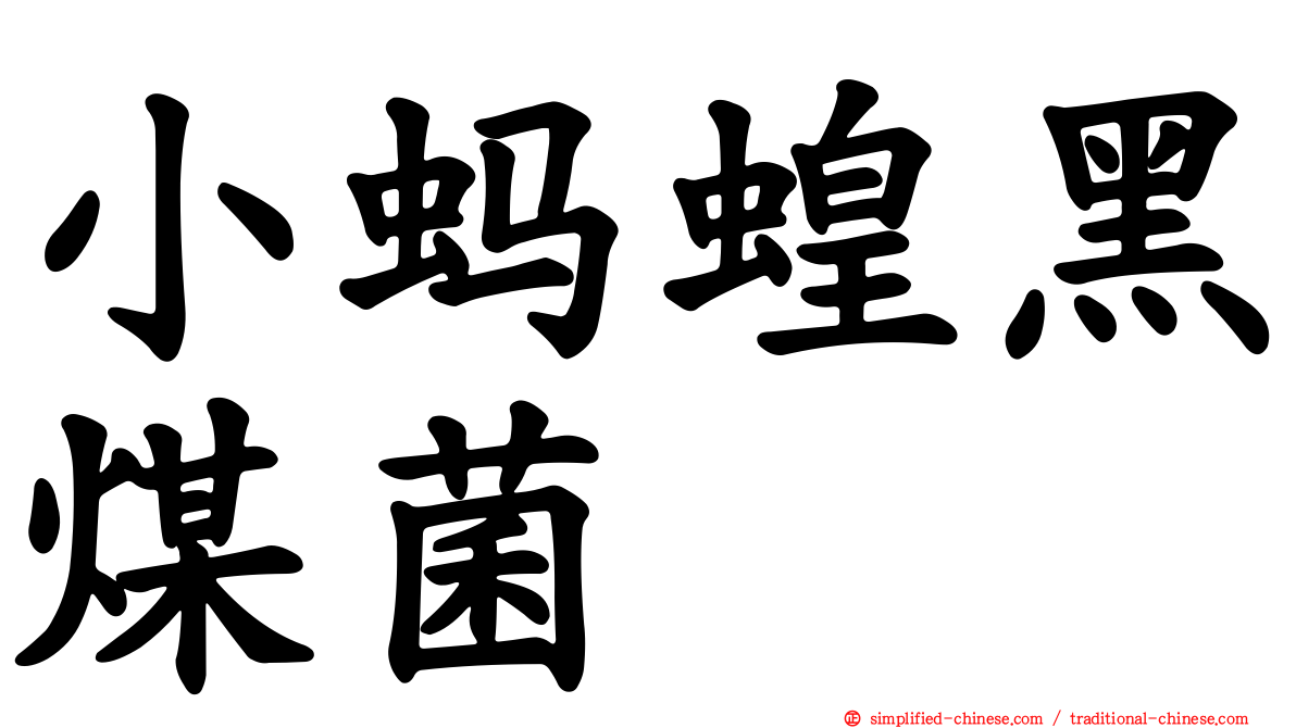 小蚂蝗黑煤菌