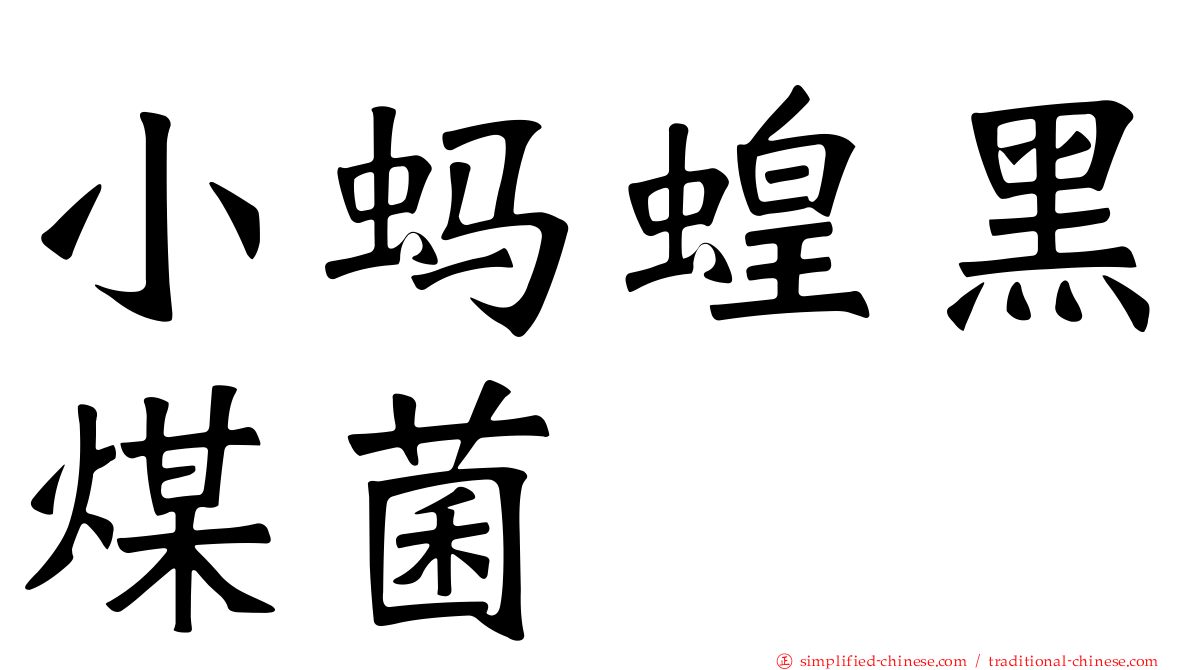 小蚂蝗黑煤菌