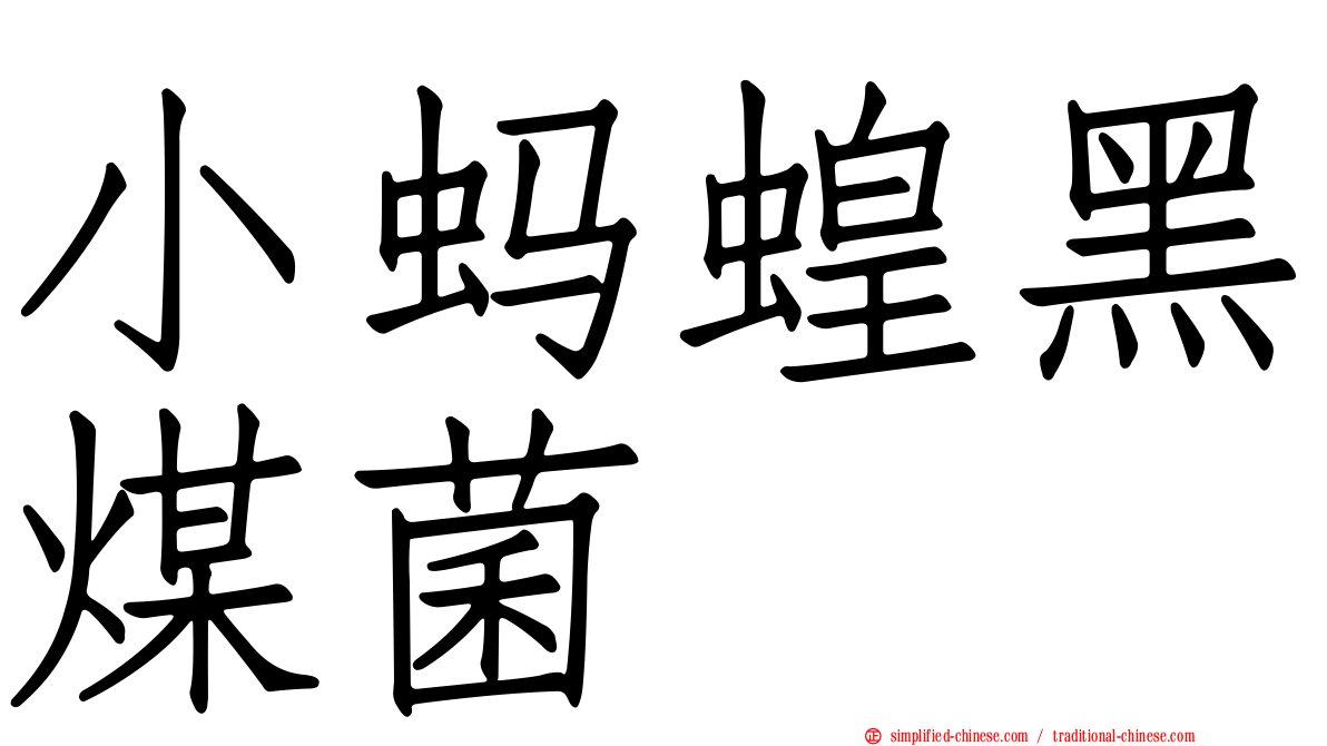 小蚂蝗黑煤菌