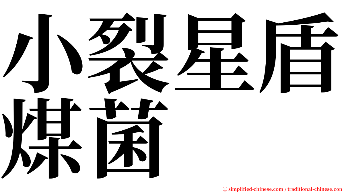 小裂星盾煤菌 serif font