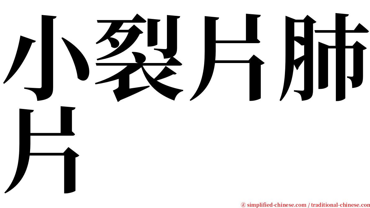 小裂片肺片 serif font