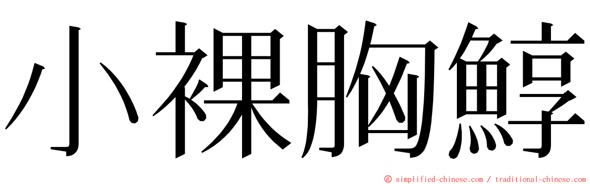 小裸胸鯙 ming font